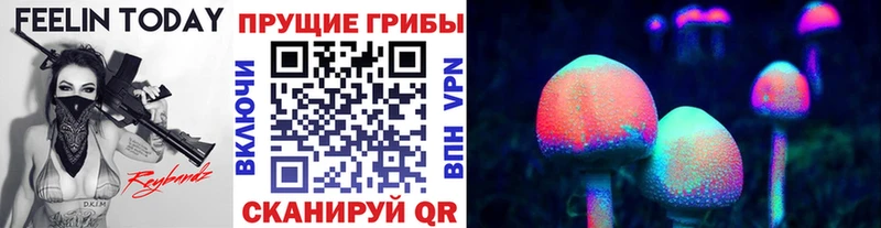 Купить закладки  Афипский  Псилоцибиновые грибы мицелий 